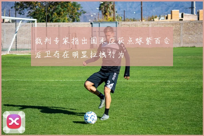 裁判专家指出国米应获点球紫百合后卫存在明显拉拽行为