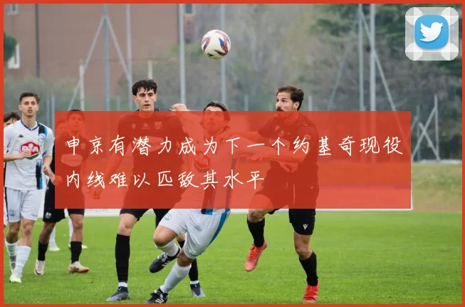 申京有潜力成为下一个约基奇现役内线难以匹敌其水平